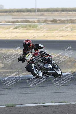 media/Sep-07-2024-Pacific Track Time (Sat) [[9bb89f5e83]]/B group/Phone Wall Papers 920am/